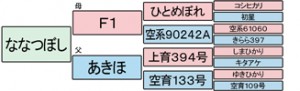 ななつぼし